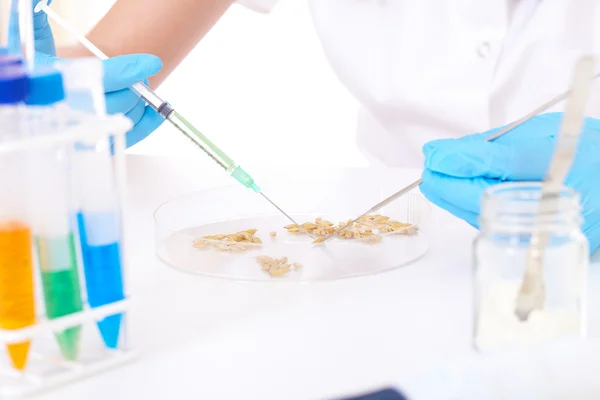 Cientista em laboratório, isolado em branco — Fotografia de Stock