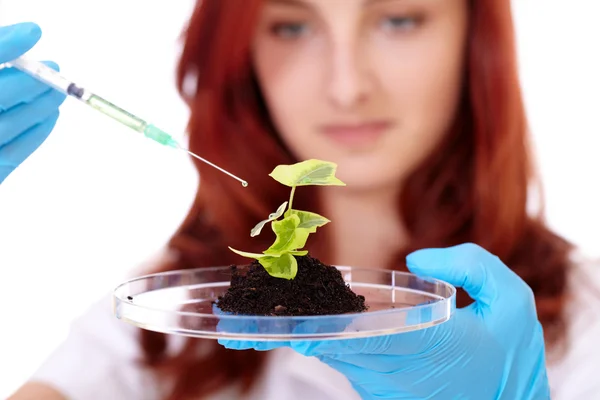 Jonge aantrekkelijke lachende vrouwelijke chemicus, geïsoleerd op wit — Stockfoto