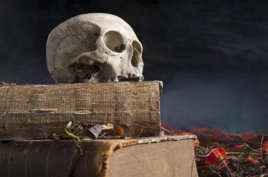 eski kitap eski kafatası