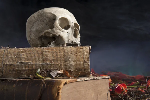 Old skull on old book — Stock Photo, Image