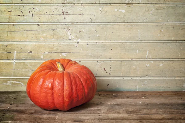 Pumpkin on old wooden floor — Stock Photo, Image