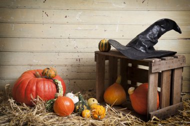 kabak ve saman üzerinde bittergourds