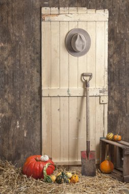 cowboy hat hanging on a barndoor, spade and pumkins clipart