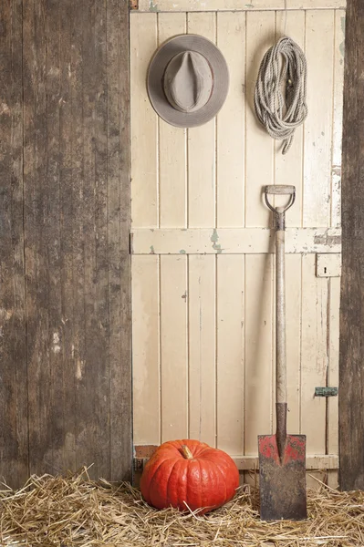 Old barndoor with spade, cowboy hat and rope, rope and pumpkin — Stock Photo, Image
