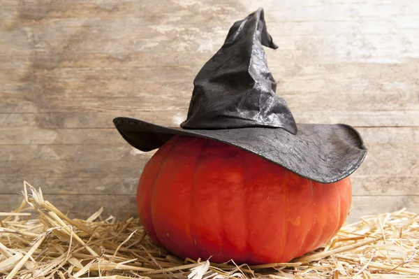 pumpkin Halloween cadı şapka