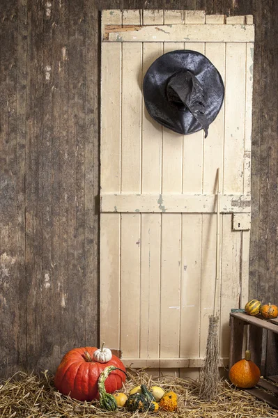 Roupa de bruxa uma porta de celeiro, abóboras ans amargo — Fotografia de Stock