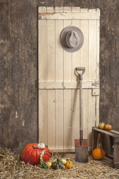 Cowboy hat hanging on a barndoor, spade and pumkins — Stock Photo, Image