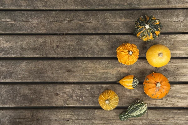 Pumpkins on a old wooden floor — Stock Photo, Image