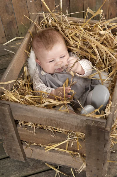 Bebê em caixa com palha — Fotografia de Stock