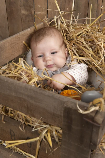 Bambino in un caso con paglia — Foto Stock