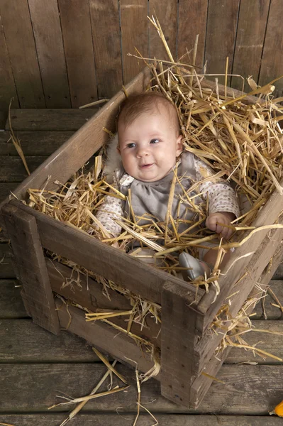 Bambino in un caso con paglia — Foto Stock