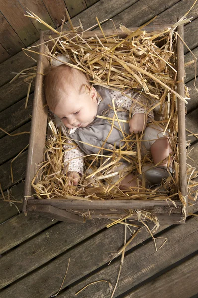 Bebê em caixa com palha — Fotografia de Stock