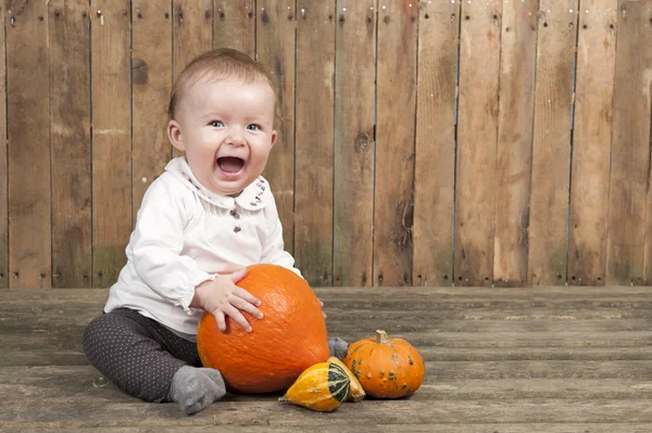 Halloween bebê com abóboras — Fotografia de Stock