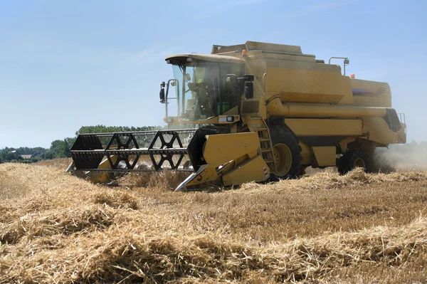 Cosechadora cosechadora trigo —  Fotos de Stock