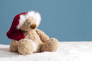 oyuncak ayı karda oturmuş xmas şapka ile