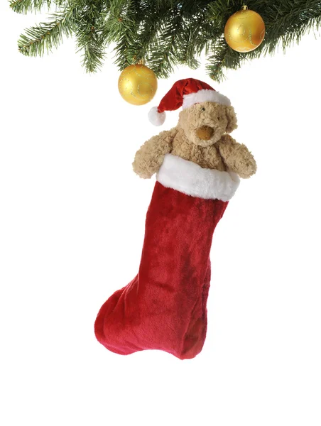 Teddy bear in christmas sock hanging in a xmas tree — Stock Photo, Image