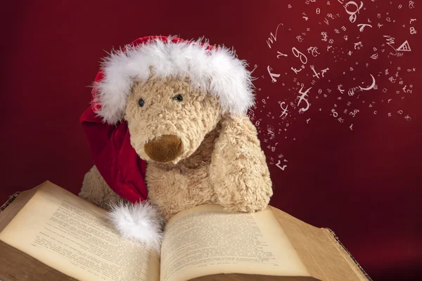 Teddy bear reading a book — Stock Photo, Image