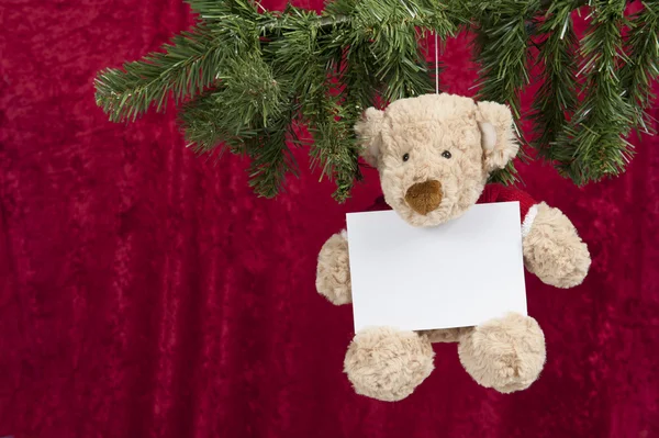 Ursinho de pelúcia com cartão de desejos pendurado em uma árvore de natal , — Fotografia de Stock