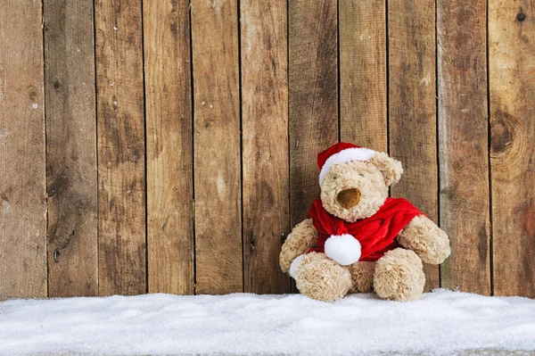Медвежонок, сидящий в снегу — стоковое фото
