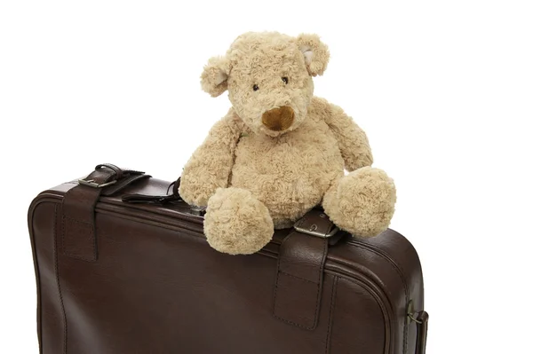 Teddybeer met koffer — Stockfoto