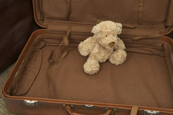 Teddy bear in koffer — Stockfoto