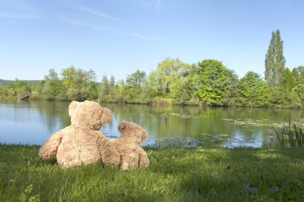 Twee teddyberen buitenshuis — Stockfoto