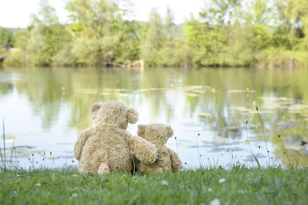 Dois ursos de pelúcia ao ar livre — Fotografia de Stock