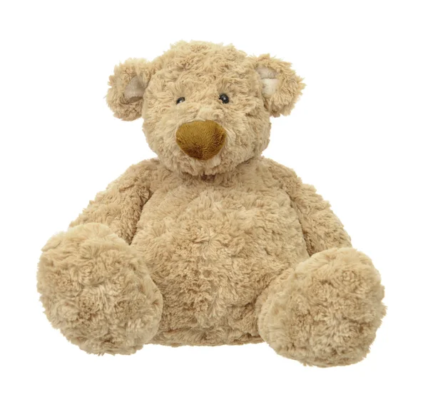 Teddy bear Stock Image