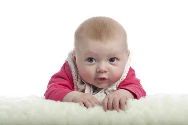 4 miesiące życia dziecka patrząc na kamery — Zdjęcie stockowe
