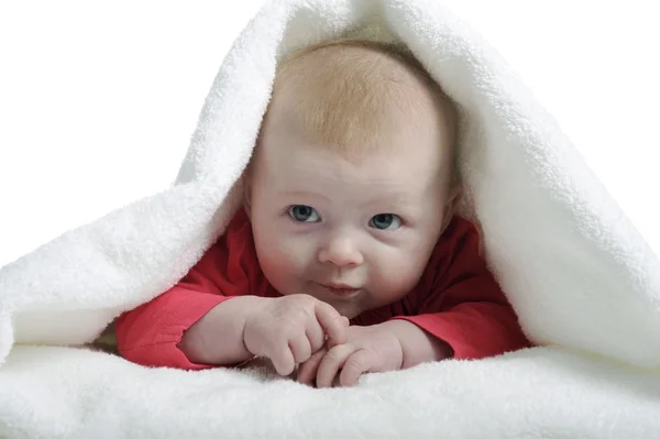 4 months old baby wrapped in a towel — Stock Photo, Image