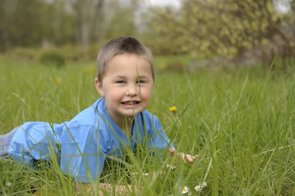Маленький мальчик лежит на животе в траве — стоковое фото