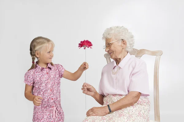 Menina dando a sua bisavó uma flor — Fotografia de Stock