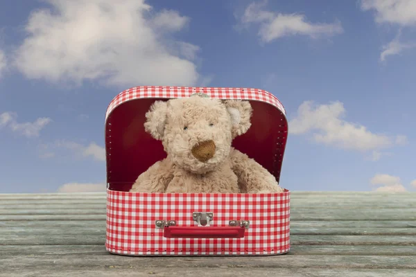 Teddy bear in een vintage kartonnen koffer, blauwe hemel met wolken — Stockfoto