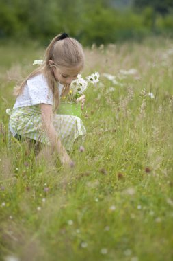 sevimli küçük kız çiçek hasat