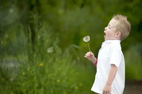 Enfant souffle un pissenlit — Photo