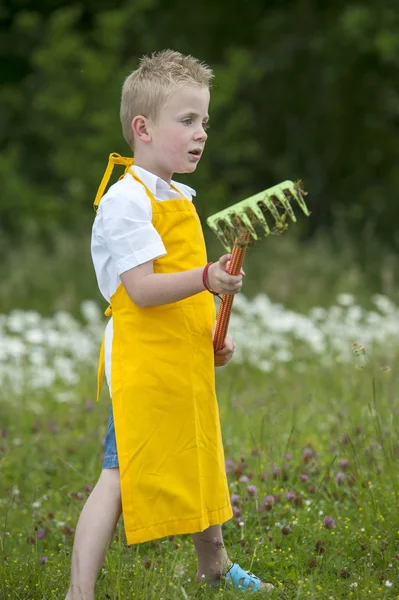 Giardinaggio, ragazzo carino con rastrello, all'aperto — Foto Stock