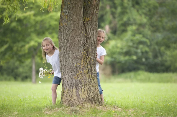 Kleine Mädchen spielen Verstecken — Stockfoto