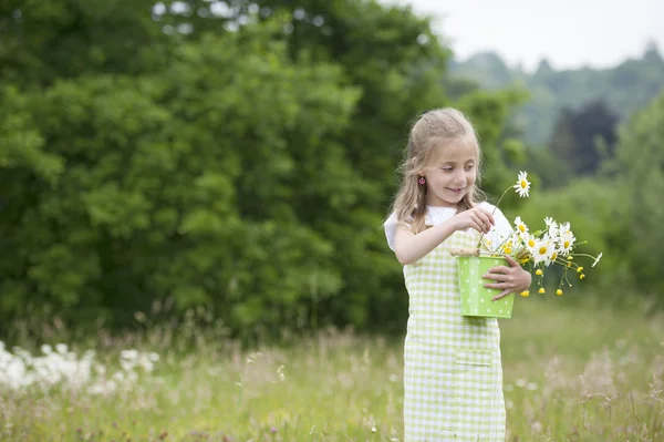 Cute dziewczynka zbioru kwiatów — Zdjęcie stockowe