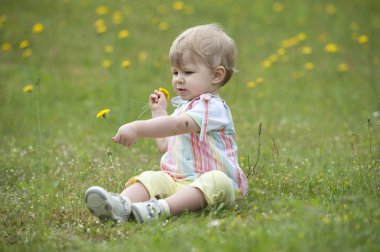 Bahçedeki çiçekleri ile oynarken oturmuş toddler