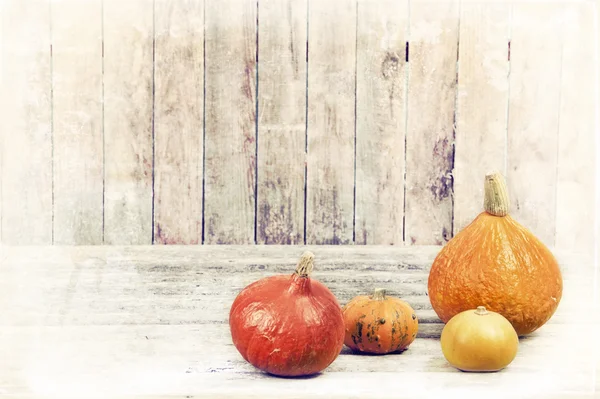 Pumpkins ad bitter gourd on an old wooden floor — Stock Photo, Image