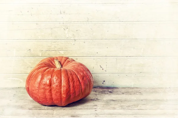 Pumpkin ad bitter gourd on an old wooden floor — Stock Photo, Image