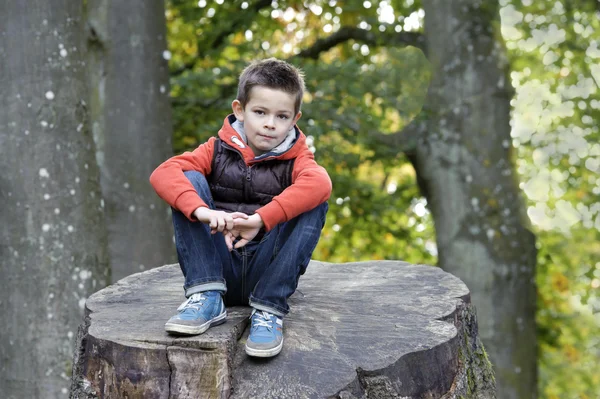 Chlapec sedí na kufru v parku — Stock fotografie