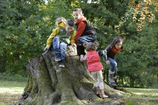 Un gruppo di bambini che giocano su un tronco — Foto Stock