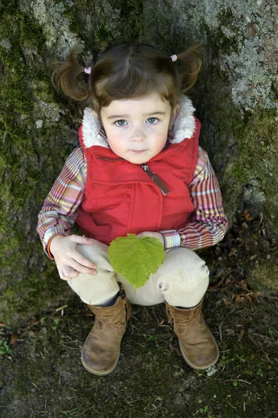 Adorable niña sentada contra un árbol mirando hacia arriba —  Fotos de Stock