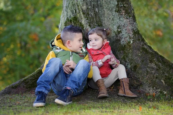 Brother and sister seated against a tree in the park — Stock Photo, Image