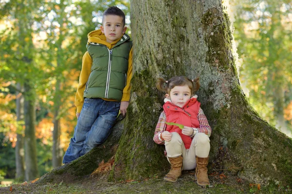 Hermano y hermana apoyados en un árbol Fotos De Stock Sin Royalties Gratis
