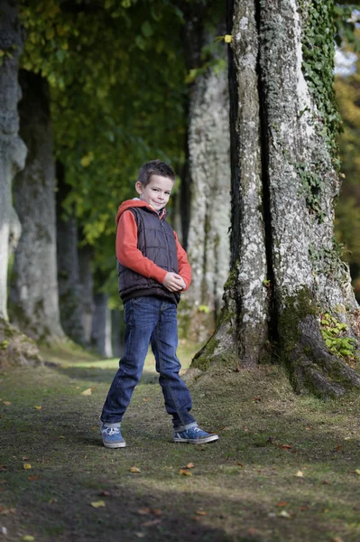 Boy in the forest — Stock Photo, Image