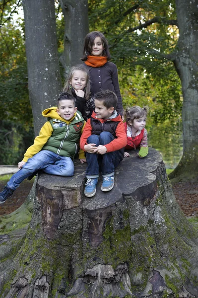 Un gruppo di bambini che giocano su un tronco — Foto Stock