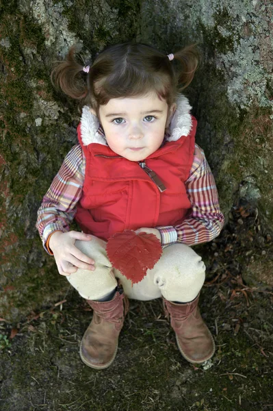 Adorable little girl seated against a tree looking up — Stock Photo, Image