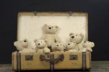 oyuncak ayılar bir eski vintage bavul içinde bir sürü